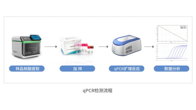 四川qPCR法宿主細(xì)胞殘留DNA檢測方案