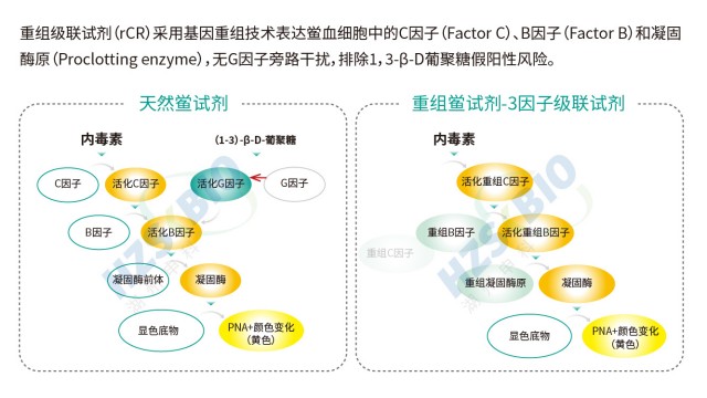 江蘇化學制藥內毒素檢測常見問題分析 湖州申科生物技術股份供應
