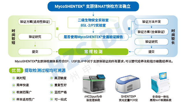 重慶細胞療法產品支原體檢測快速檢測 湖州申科生物技術股份供應