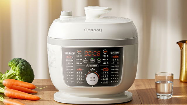 国内电高压锅哪个牌子好 绍兴市吉柏尼机电供应