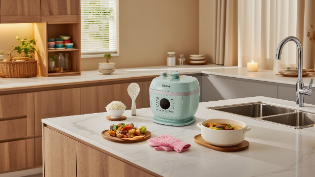 Gebony無涂層電壓力鍋怎么樣 紹興市吉柏尼機(jī)電供應(yīng)