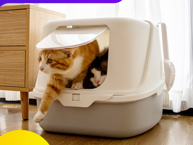 浙江防臭貓砂盆單價 嘉興樂優(yōu)寵物用品股份供應