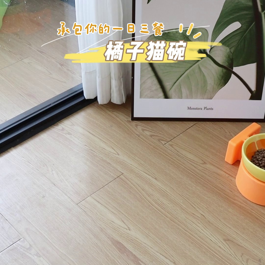 幼貓貓碗現(xiàn)貨,貓碗