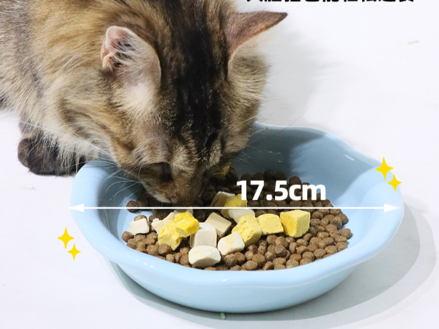 浙江加高貓碗推薦廠家 嘉興樂優(yōu)寵物用品股份供應(yīng)