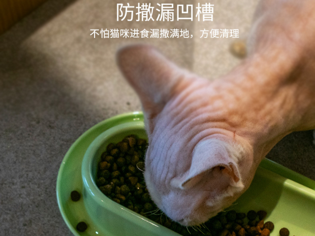 嘉興吃飯貓碗批發(fā)廠家 嘉興樂優(yōu)寵物用品股份供應(yīng)