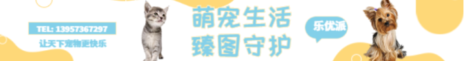 樂(lè)優(yōu)派1