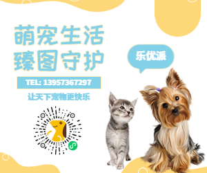 樂(lè)優(yōu)派