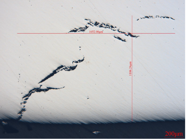 深圳鹽霧腐蝕試驗 江蘇天鼎檢測科技供應