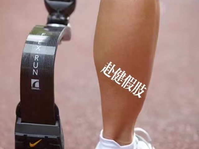 机械假肢功能,假肢