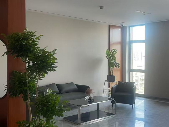 紹興假肢安裝 信息推薦 赴健假肢矯形醫(yī)療科技供應