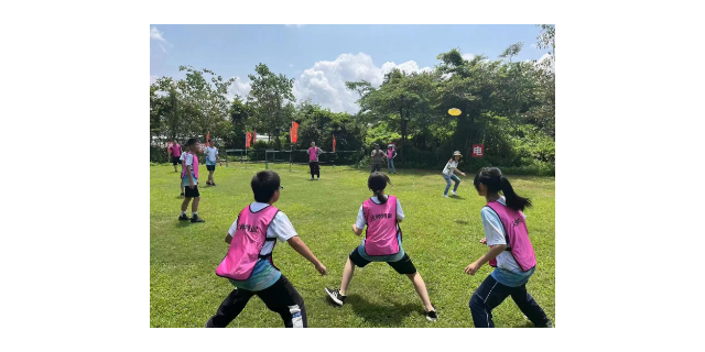 親子活動的魅力：連接心靈，共同成長