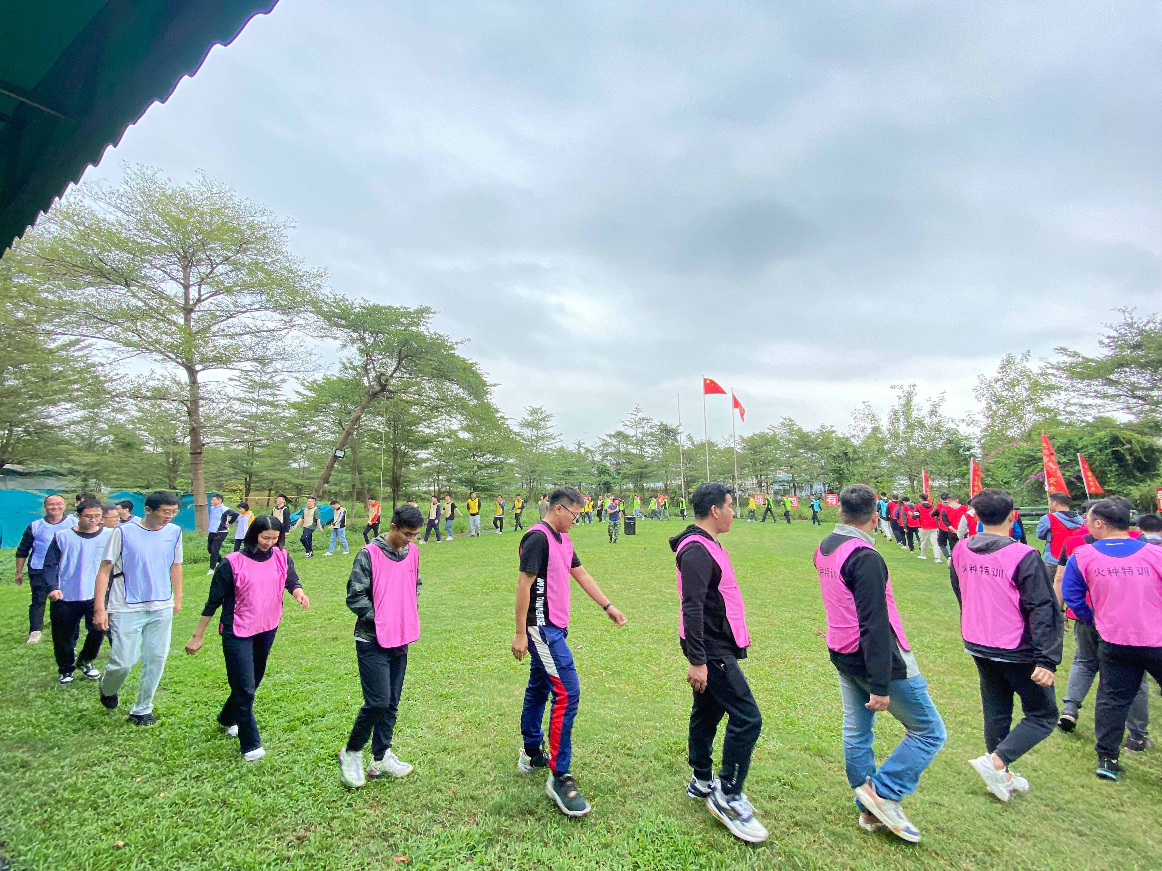 打造凝聚力：企業團建的魔法與魅力