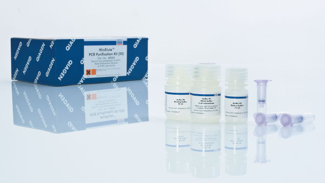 MinElute PCR Purification Kit 