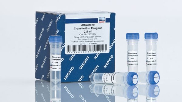 Attractene Transfection Reagent