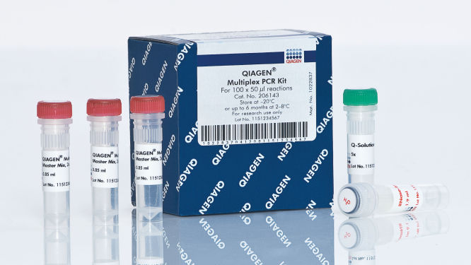 QIAGEN Multiplex PCR Kit 