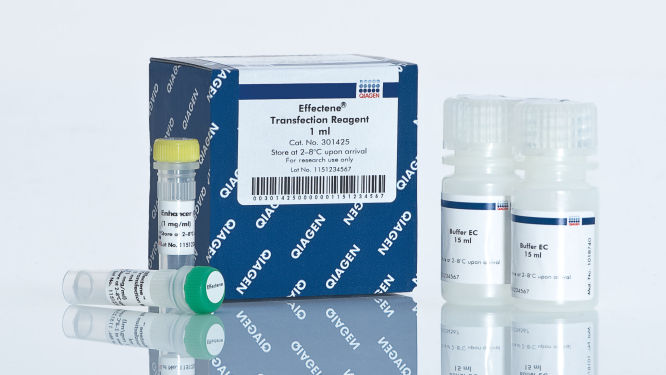 Effectene Transfection Reagent