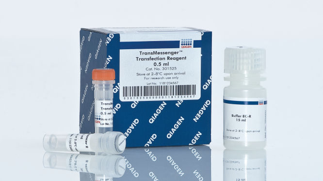 TransMessenger Transfection Reagent(0.5ml)