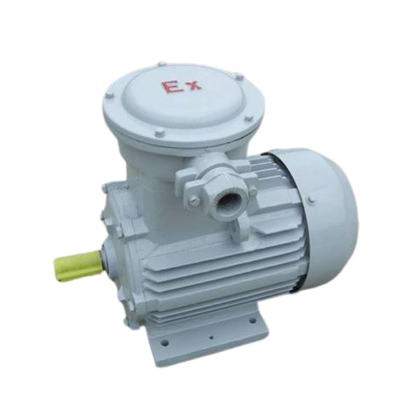 防爆電機(jī)