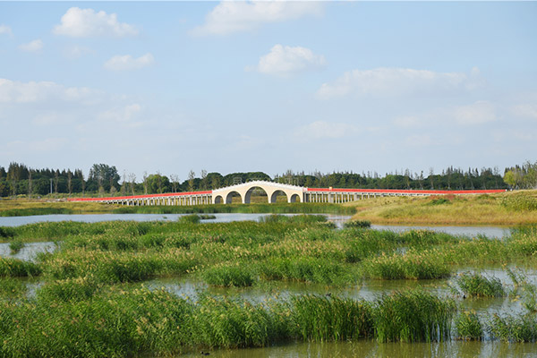 為城市景觀(guān)構(gòu)造心中的美景（九）---橋梁裝飾護(hù)欄