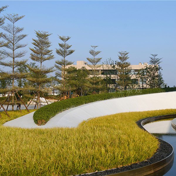 浙江溫州中國眼谷