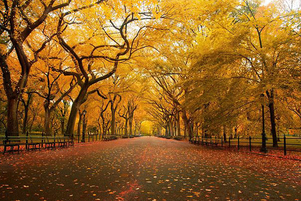 為城市景觀(guān)構(gòu)造心中的美景（五）---晶鑄石護(hù)欄賞析