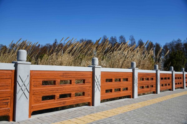 上海崇明島陳家鎮橋梁護欄