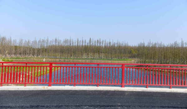 上海崇明區花博園橋梁護欄