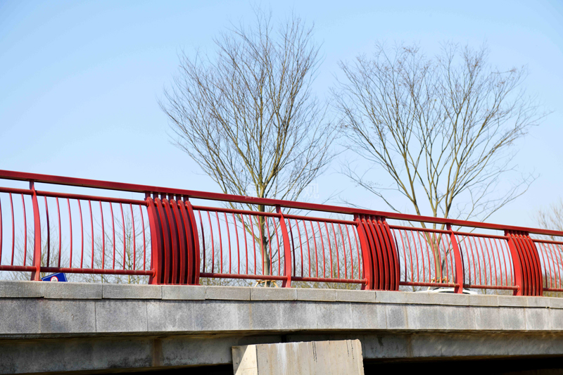 上海崇明區花博園橋梁護欄