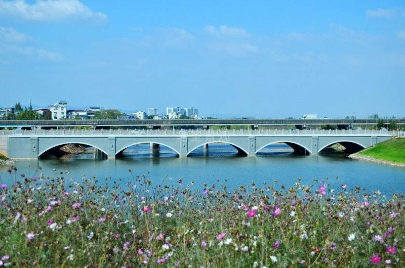 浙江義烏市科教西路橋梁裝飾工程