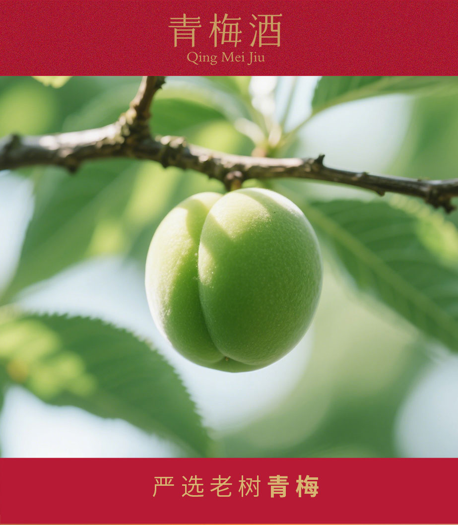 青梅酒