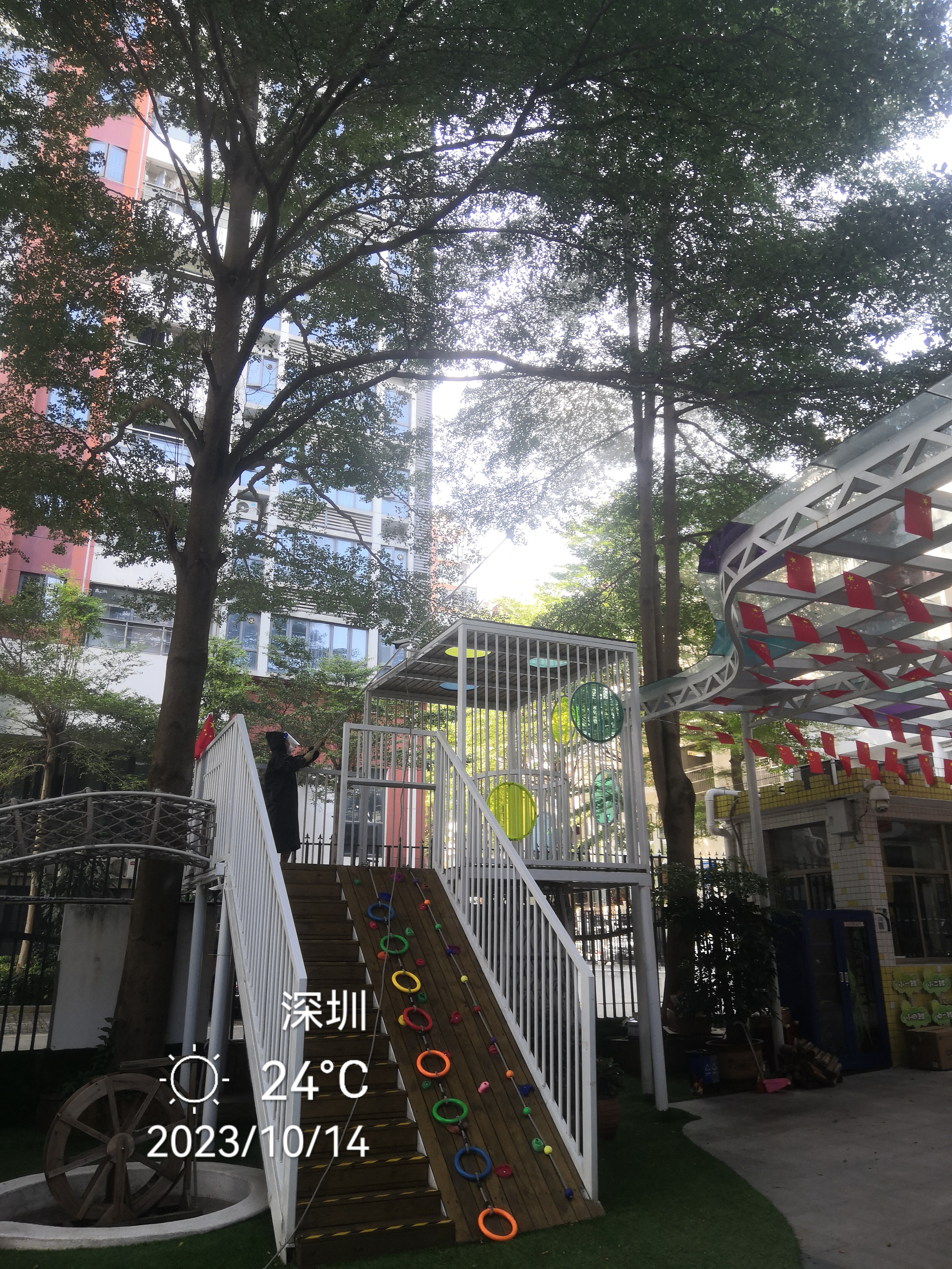 幼兒園榕樹消殺