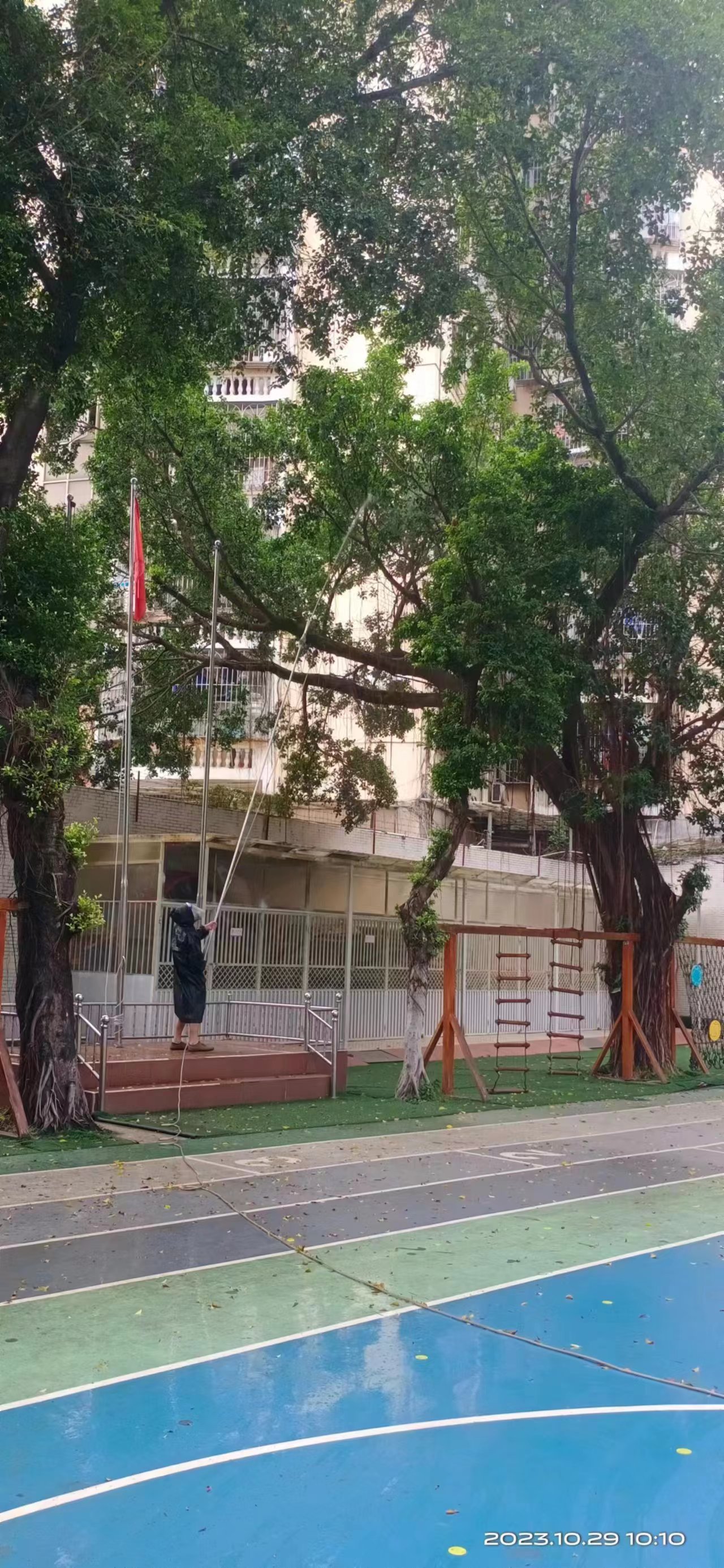 愛聯(lián)幼兒園榕樹消殺