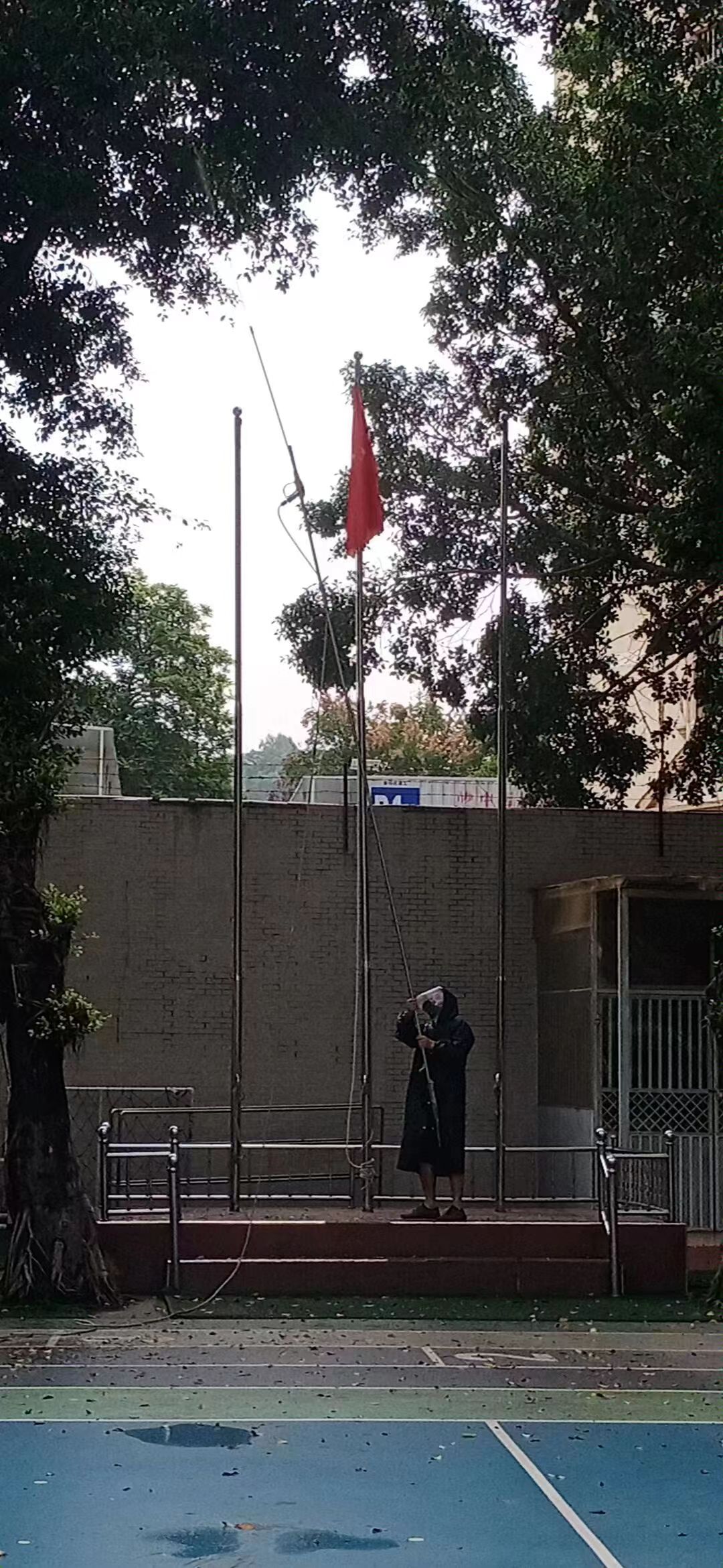 愛聯(lián)幼兒園榕樹消殺