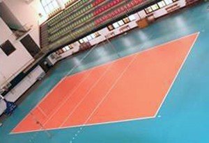 FIVB����������֤