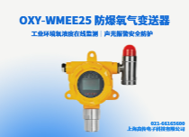 防爆氧气变送器