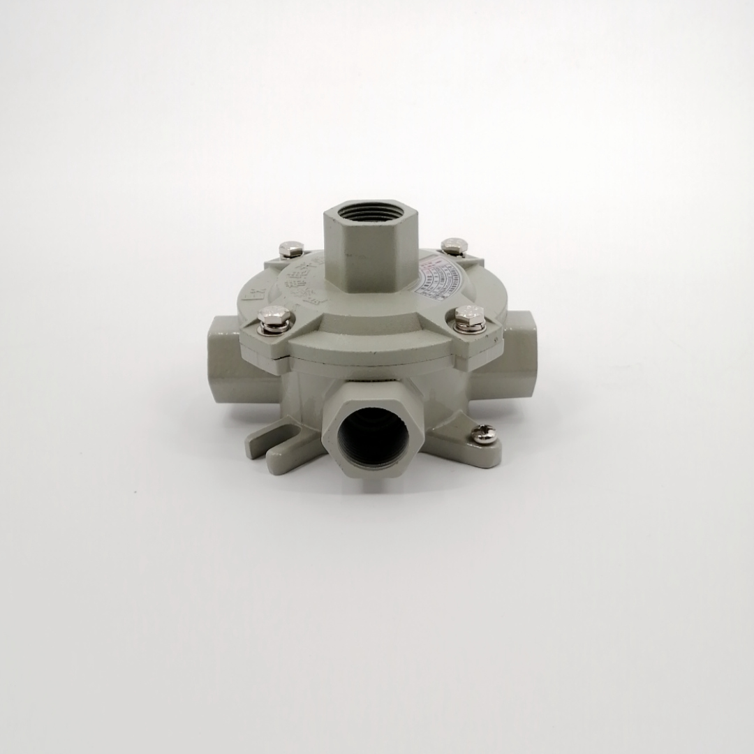 AH系列防爆接線盒