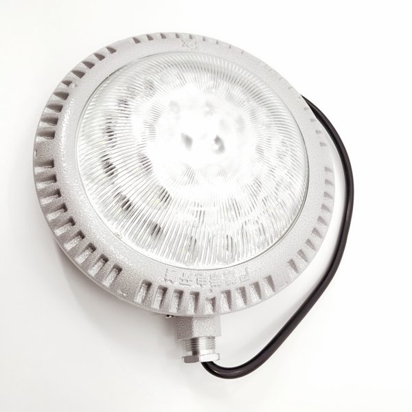 BZD910系列防爆免維護(hù)LED照明燈