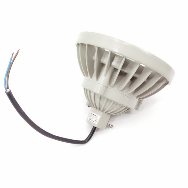 BZD110系列防爆免維護(hù)LED照明燈