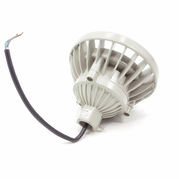 BZD110系列防爆免維護(hù)LED照明燈