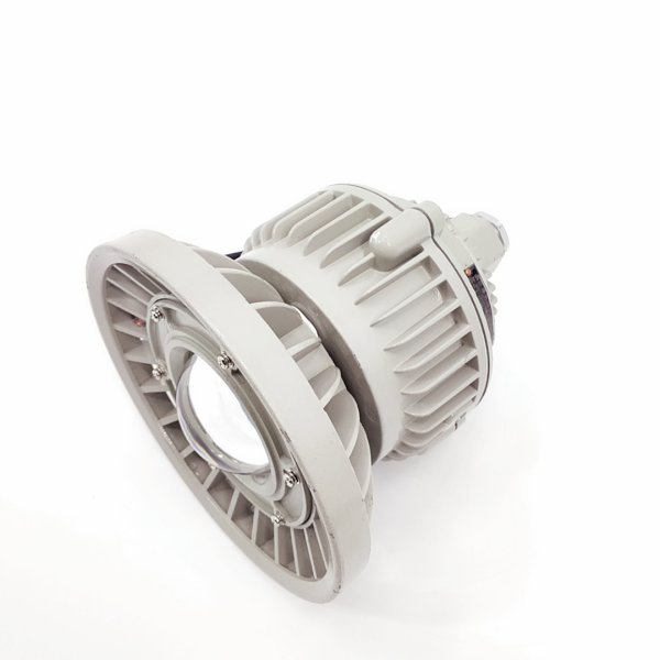 BZD110系列防爆免維護(hù)LED照明燈