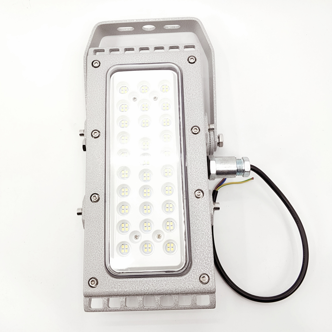 BTD100系列防爆免維護(hù)LED泛光燈