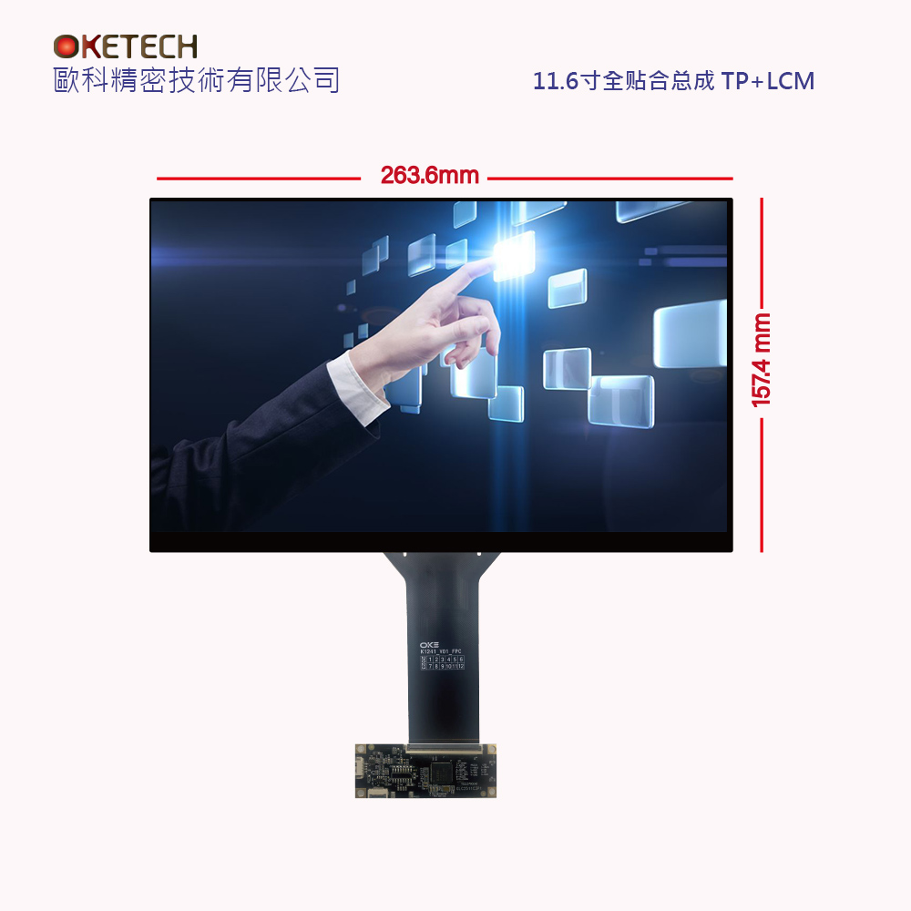 11.6紥ʾܳ