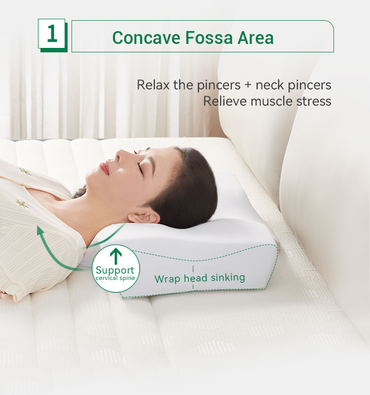 影象枕：：：睡眠中的 “知心守护者”