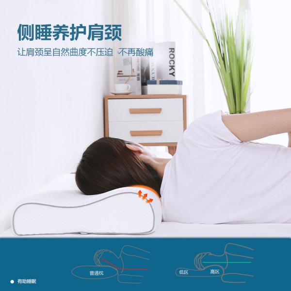 bwin必赢亚洲SN-SC502影象棉居家护颈睡眠枕