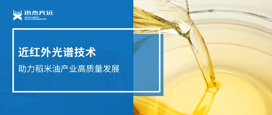 谷物的隱藏寶藏，稻米油的金色秘密——