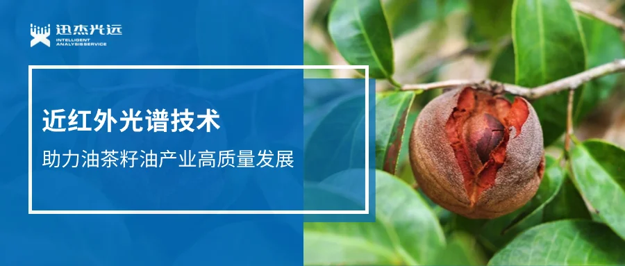 檢測油茶籽含油量！近紅外技術助力油茶籽油產業高質量發展