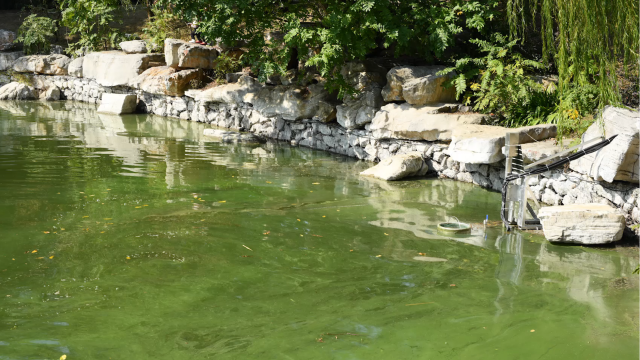 公園智能水上漂浮物收集器原理 惟精環境科技供應