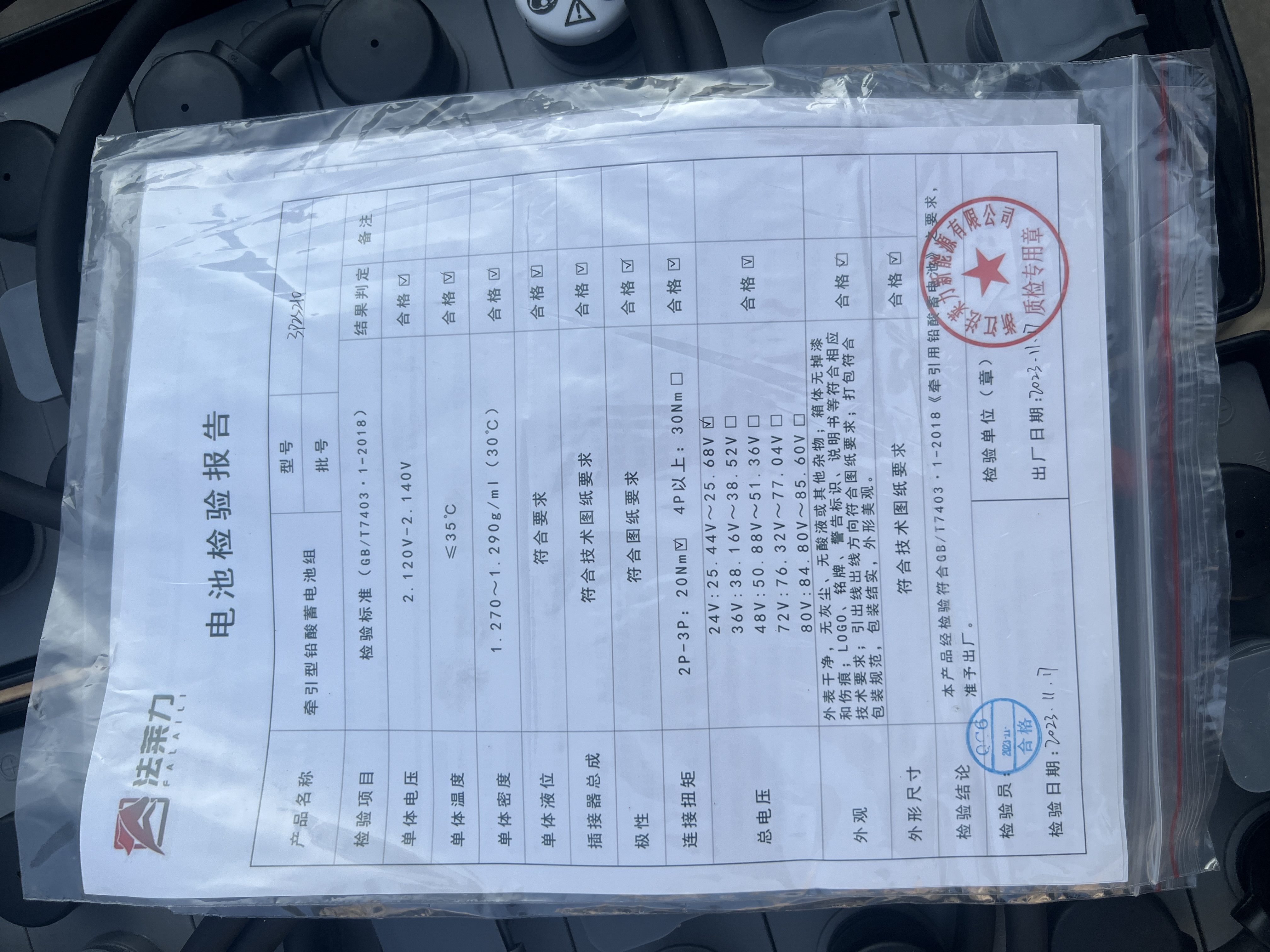 臺(tái)勵(lì)福電動(dòng)堆高車堆垛車蓄電池組 12-3PZS210 24V 210AH