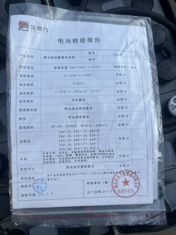 臺(tái)勵(lì)福電動(dòng)堆高車堆垛車蓄電池組 12-3PZS210 24V 210AH