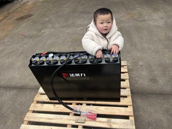 美科斯電動(dòng)堆垛車叉車蓄電池 12-3PZB210 24V210AH